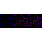 KD-Validated ARID1A Rabbit mAb (20 μl)