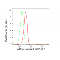 KD-Validated ATG4B Rabbit mAb (20 μl)