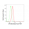 KD-Validated ATG4B Rabbit mAb (20 μl)