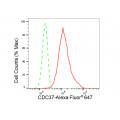 KD-Validated CDC37 Rabbit mAb (20 μl)