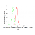 KD-Validated CSPG4 Rabbit mAb (20 μl)