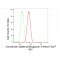 KD-Validated CSPG4 Rabbit mAb (20 μl)
