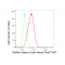 KD-Validated CLTC Rabbit mAb (20 μl)
