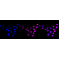 KD-Validated CCNE2 Rabbit mAb (20 μl)