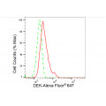 KD-Validated DEK Rabbit mAb (20 μl)