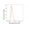 KD-Validated DEK Rabbit mAb (20 μl)
