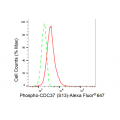 KD-Validated Phospho-CDC37 (S13) Rabbit mAb (20 μl)