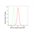 KD-Validated AP1G1 Rabbit mAb (20 μl)
