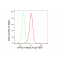 KD-Validated AP1G1 Rabbit mAb (20 μl)
