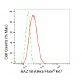 KD-Validated BAZ1B Rabbit mAb (20 μl)