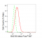 KD-Validated BAZ1B Rabbit mAb (20 μl)