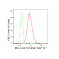 KD-Validated BCL2L12 Rabbit mAb (20 μl)