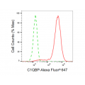KD-Validated C1QBP Rabbit mAb (20 μl)