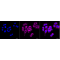 KD-Validated C1QBP Rabbit mAb (20 μl)