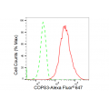 KD-Validated COPS3 Rabbit mAb (20 μl)