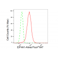 KD-Validated EIF4A1 Rabbit mAb (20 μl)