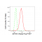 KD-Validated EIF4A1 Rabbit mAb (20 μl)