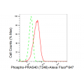 KD-Validated Phospho-PRAS40 (T246) Rabbit mAb (20 μl)