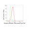 KD-Validated Phospho-PRAS40 (T246) Rabbit mAb (20 μl)