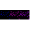 KD-Validated Phospho-PRAS40 (T246) Rabbit mAb (20 μl)
