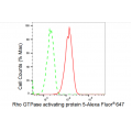 KD-Validated ARHGAP5 Rabbit mAb (20 μl)