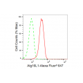 KD-Validated Atg16L1 Rabbit mAb (20 μl)