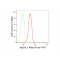 KD-Validated Atg16L1 Rabbit mAb (20 μl)