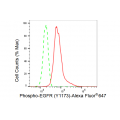 KD-Validated Phospho-EGFR (Y1173) Rabbit mAb (20 μl)