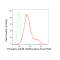 KD-Validated Phospho-eIF4B (S406) Rabbit mAb (20 μl)