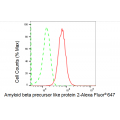 KD-Validated APLP2 Rabbit mAb (20 μl)