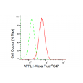 KD-Validated APPL1 Rabbit mAb (20 μl)