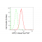 KD-Validated APPL1 Rabbit mAb (20 μl)