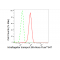 KD-Validated IFT88 Rabbit mAb (20 μl)