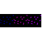KD-Validated IFT88 Rabbit mAb (20 μl)