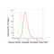KD-Validated KIF23 Rabbit mAb (20 μl)