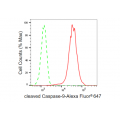 KD-Validated cleaved Caspase-9 Rabbit mAb (20 μl)