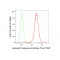 KD-Validated cleaved Caspase-9 Rabbit mAb (20 μl)