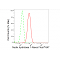 KD-Validated NUDT1 Rabbit mAb (20 μl)