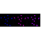 KD-Validated NUDT1 Rabbit mAb (20 μl)