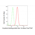 KD-Validated OSBPL1A Rabbit mAb (20 μl)