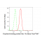 KD-Validated OSBPL1A Rabbit mAb (20 μl)