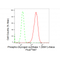 KD-Validated Phospho-GYS1 (S641) Rabbit mAb (20 μl)