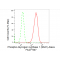 KD-Validated Phospho-GYS1 (S641) Rabbit mAb (20 μl)