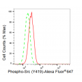 KD-Validated Phospho-Src (Y419) Rabbit mAb (20 μl)
