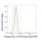 KD-Validated Phospho-Src (Y419) Rabbit mAb (20 μl)