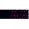 KD-Validated Phospho-PKCA (T638) Rabbit mAb (20 μl)