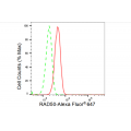 KD-Validated RAD50 Rabbit mAb (20 μl)