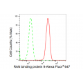 KD-Validated RANBP9 Rabbit mAb (20 μl)