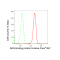 KD-Validated RANBP9 Rabbit mAb (20 μl)