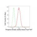 KD-Validated Phospho-Smad2 (S250) Rabbit mAb (20 μl)